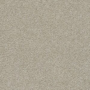 Dreamweaver Carpet Clear Skies III Meadowdale Carpet 5276_768