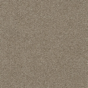 Dreamweaver Carpet Clear Skies II Warm Teak Carpet 5264_784