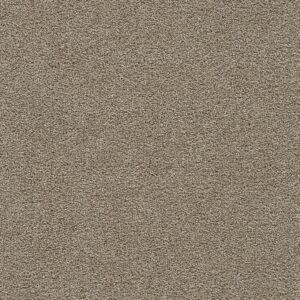 Dreamweaver Carpet Clear Skies III Warm Teak Carpet 5276_784