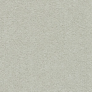 Dreamweaver Carpet Clear Skies II Snowbird Carpet 5264_944