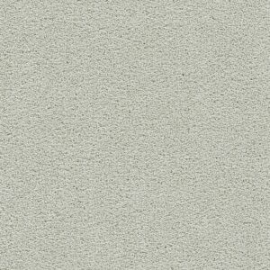 Dreamweaver Carpet Clear Skies III Snowbird Carpet 5276_944