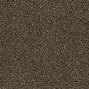 Dreamweaver Carpet Toast Of The Town Black & Tan Carpet 5315_900