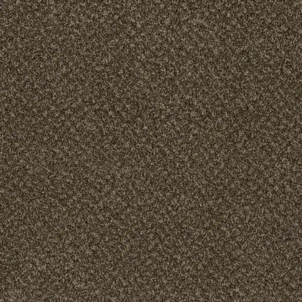 Dreamweaver Carpet Toast Of The Town Black & Tan Carpet 5315_900