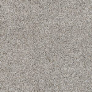 Dreamweaver Carpet Reflections I Crystal Clear Carpet 5348_302