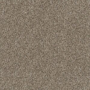 Dreamweaver Carpet Reflections III Trail Creek Carpet 5375_398