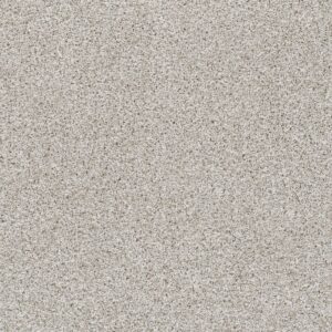 Dreamweaver Carpet Reflections II Porcelain Carpet 5365_486