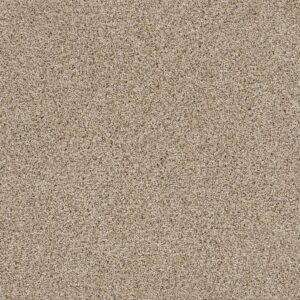 Dreamweaver Carpet Reflections III Oxford Carpet 5375_720