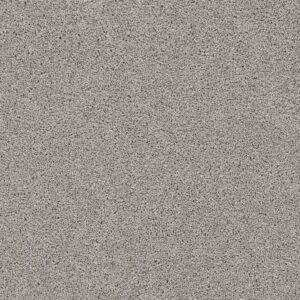 Dreamweaver Carpet Reflections III Dove Carpet 5375_800