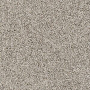 Dreamweaver Carpet Reflections I Iron Frost Carpet 5348_815