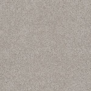 Dreamweaver Carpet Reflections III Acadia Carpet 5375_828