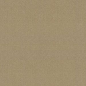 Philadelphia Commercial Carpet Emphatic Ii 30 White Gold 56100_54255