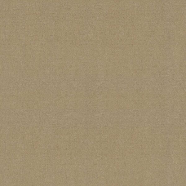 Philadelphia Commercial Carpet Emphatic Ii 30 White Gold 56100_54255