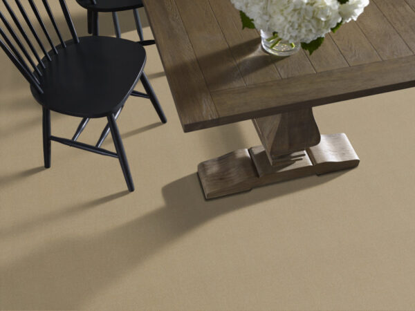 Philadelphia Commercial Carpet Emphatic Ii 30 White Gold 56100_54255 - Image 2