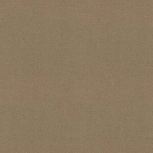 Philadelphia Commercial Carpet Emphatic Ii 30 Timeless 56110_54255
