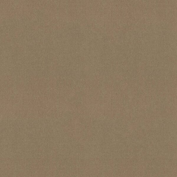 Philadelphia Commercial Carpet Emphatic Ii 30 Timeless 56110_54255