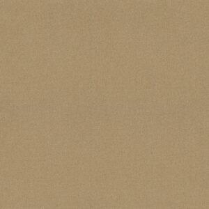Philadelphia Commercial Carpet Emphatic Ii 30 Sand Pebble 56115_54255
