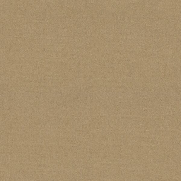 Philadelphia Commercial Carpet Emphatic Ii 30 Sand Pebble 56115_54255