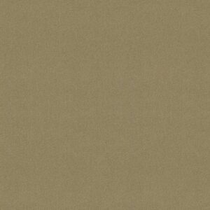 Philadelphia Commercial Carpet Emphatic Ii 30 Parchment 56120_54255