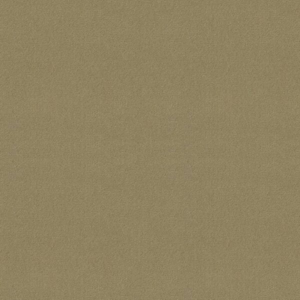 Philadelphia Commercial Carpet Emphatic Ii 30 Parchment 56120_54255