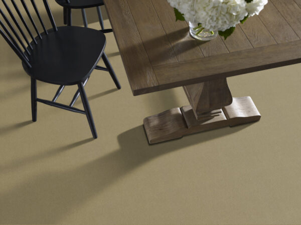 Philadelphia Commercial Carpet Emphatic Ii 30 Parchment 56120_54255 - Image 2