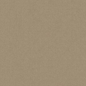 Philadelphia Commercial Carpet Emphatic Ii 30 Oatmeal 56142_54255