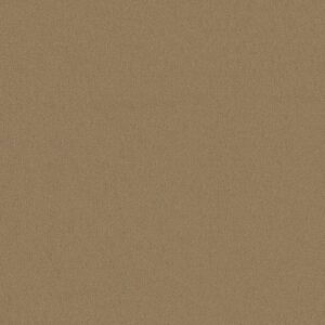 Philadelphia Commercial Carpet Emphatic Ii 30 Canyon Dust 56144_54255