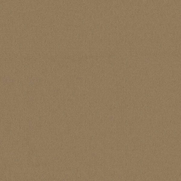 Philadelphia Commercial Carpet Emphatic Ii 30 Canyon Dust 56144_54255