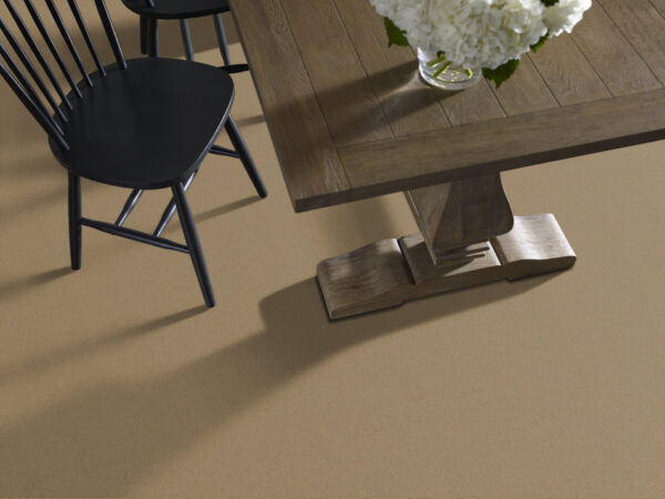 Philadelphia Commercial Carpet Emphatic Ii 30 Canyon Dust 56144_54255 - Image 2