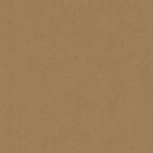 Philadelphia Commercial Carpet Emphatic Ii 30 South Beach 56147_54255