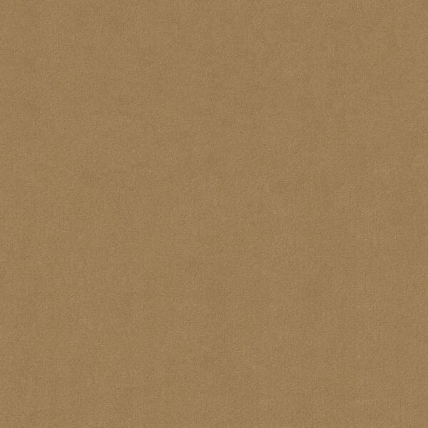 Philadelphia Commercial Carpet Emphatic Ii 30 South Beach 56147_54255