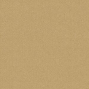 Philadelphia Commercial Carpet Emphatic Ii 30 Sun Valley 56148_54255