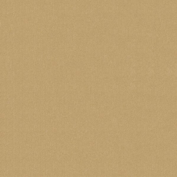 Philadelphia Commercial Carpet Emphatic Ii 30 Sun Valley 56148_54255