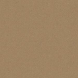 Philadelphia Commercial Carpet Emphatic Ii 30 Blondwood 56151_54255
