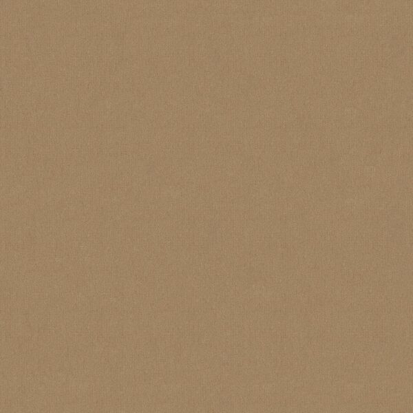 Philadelphia Commercial Carpet Emphatic Ii 30 Blondwood 56151_54255