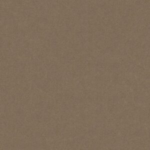 Philadelphia Commercial Carpet Emphatic Ii 30 Clay Bisque 56153_54255
