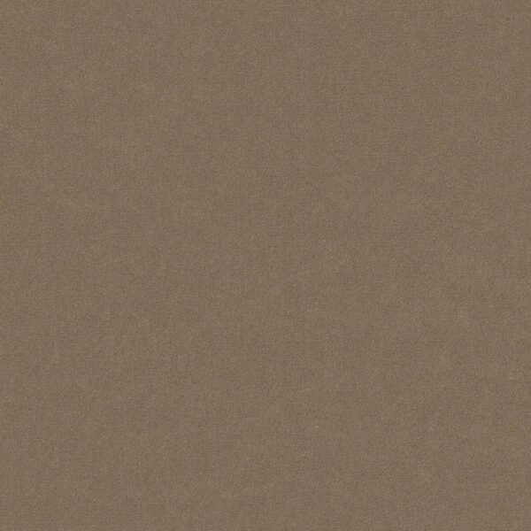 Philadelphia Commercial Carpet Emphatic Ii 30 Clay Bisque 56153_54255