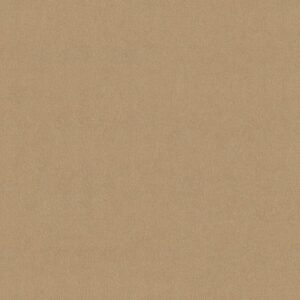 Philadelphia Commercial Carpet Emphatic Ii 30 Candlewick 56155_54255