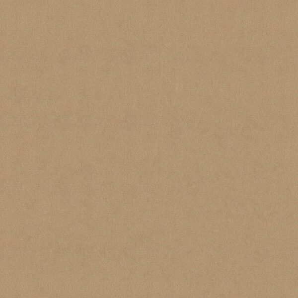 Philadelphia Commercial Carpet Emphatic Ii 30 Candlewick 56155_54255
