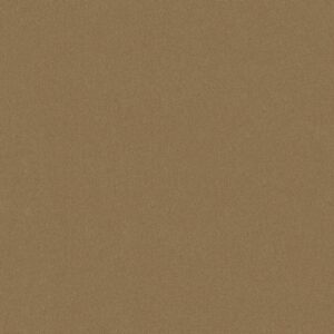 Philadelphia Commercial Carpet Emphatic Ii 30 Straw Market 56156_54255