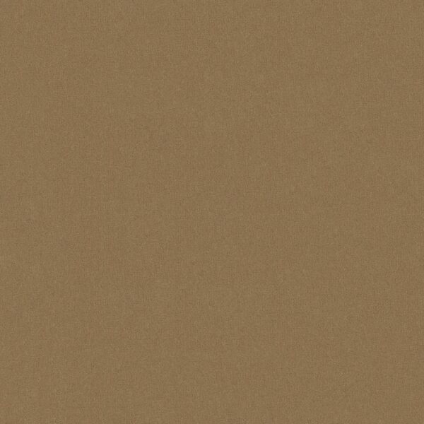 Philadelphia Commercial Carpet Emphatic Ii 30 Straw Market 56156_54255