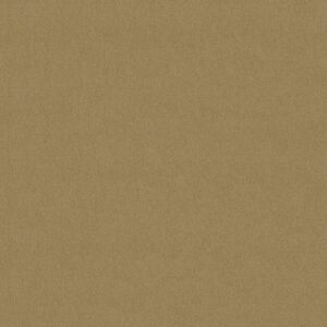 Philadelphia Commercial Carpet Emphatic Ii 30 Butterscotch 56191_54255