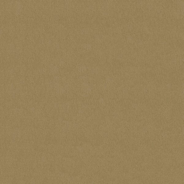 Philadelphia Commercial Carpet Emphatic Ii 30 Butterscotch 56191_54255