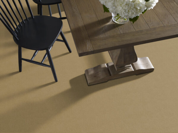 Philadelphia Commercial Carpet Emphatic Ii 30 Butterscotch 56191_54255 - Image 2