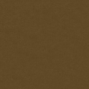 Philadelphia Commercial Carpet Emphatic Ii 30 Burnished 56220_54255