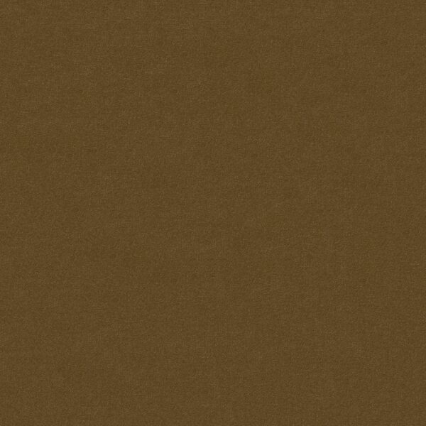 Philadelphia Commercial Carpet Emphatic Ii 30 Burnished 56220_54255