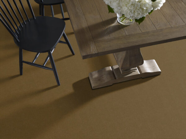Philadelphia Commercial Carpet Emphatic Ii 30 Burnished 56220_54255 - Image 2