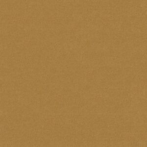 Philadelphia Commercial Carpet Emphatic Ii 30 Sunflower 56222_54255