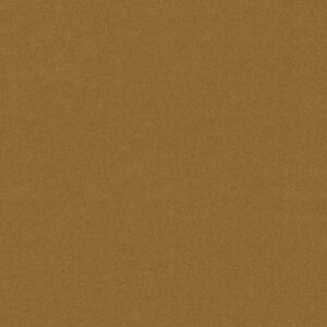 Philadelphia Commercial Carpet Emphatic Ii 30 Gold Coast 56240_54255