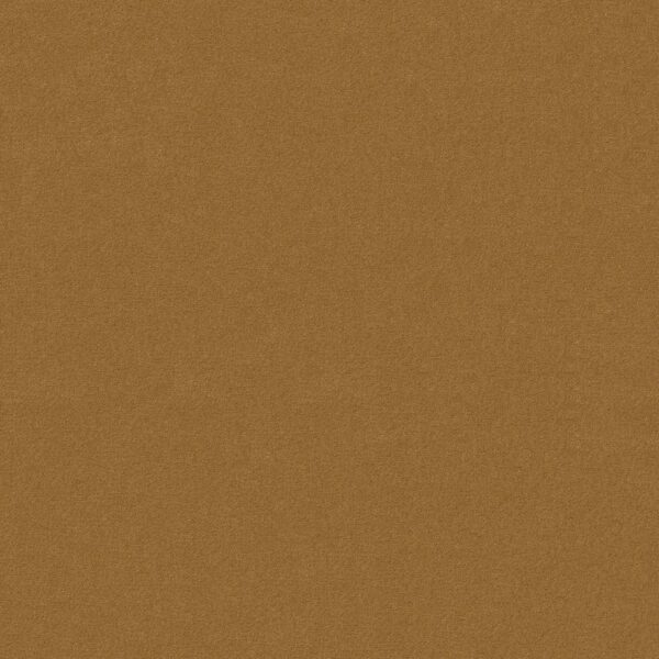 Philadelphia Commercial Carpet Emphatic Ii 30 Gold Coast 56240_54255