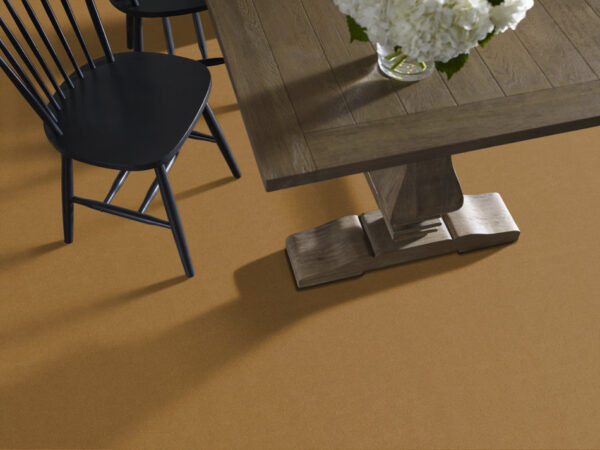 Philadelphia Commercial Carpet Emphatic Ii 30 Gold Coast 56240_54255 - Image 2